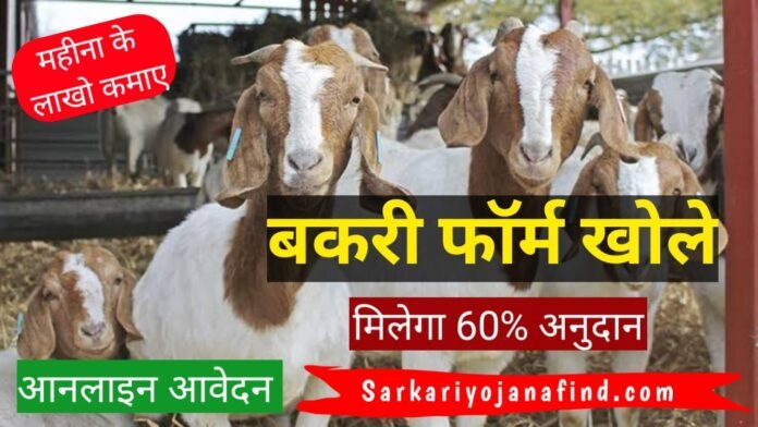 Bihar Bakri Farm Yojana - बिहार बकरी फॉर्म योजना