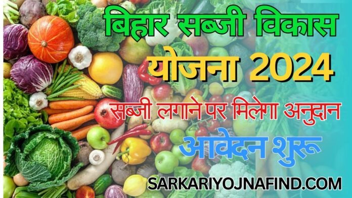 Bihar Sabji Vikas Yojna 2024: सब्जियां लगाने पर बिहार सरकार देगी 75% तक अनुदान