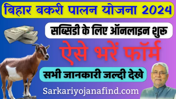 Bihar Bakari Palan Yojana Apply Online 2024: Bakari Palan Yojana Bihar 2024, मिलेगा सभी को तीन-तीन बकरी